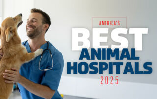 Creature Comforts Named in Newsweek's America's Best Animal Hospitals 2025