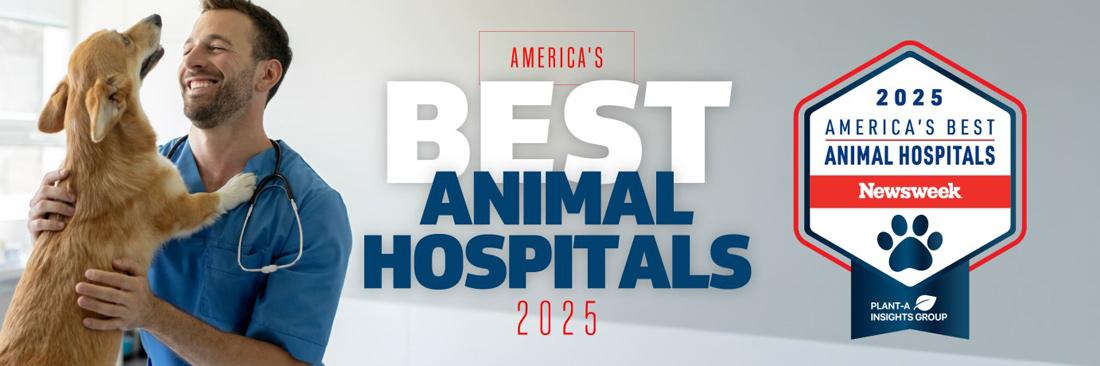 Creature Comforts Named in Newsweek's America's Best Animal Hospitals 2025